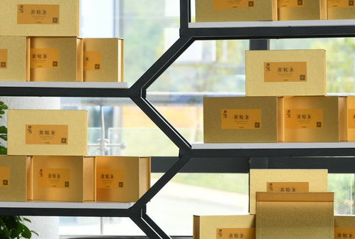 麻江 产业大招商为高质量发展聚势赋能