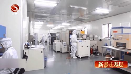 江津卫视报道 创新科技智博士隐形车衣