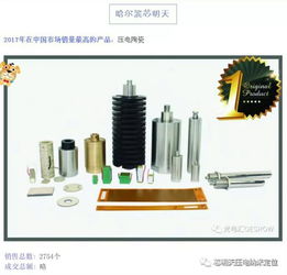 2017年芯明天科技在市场中销量高的产品